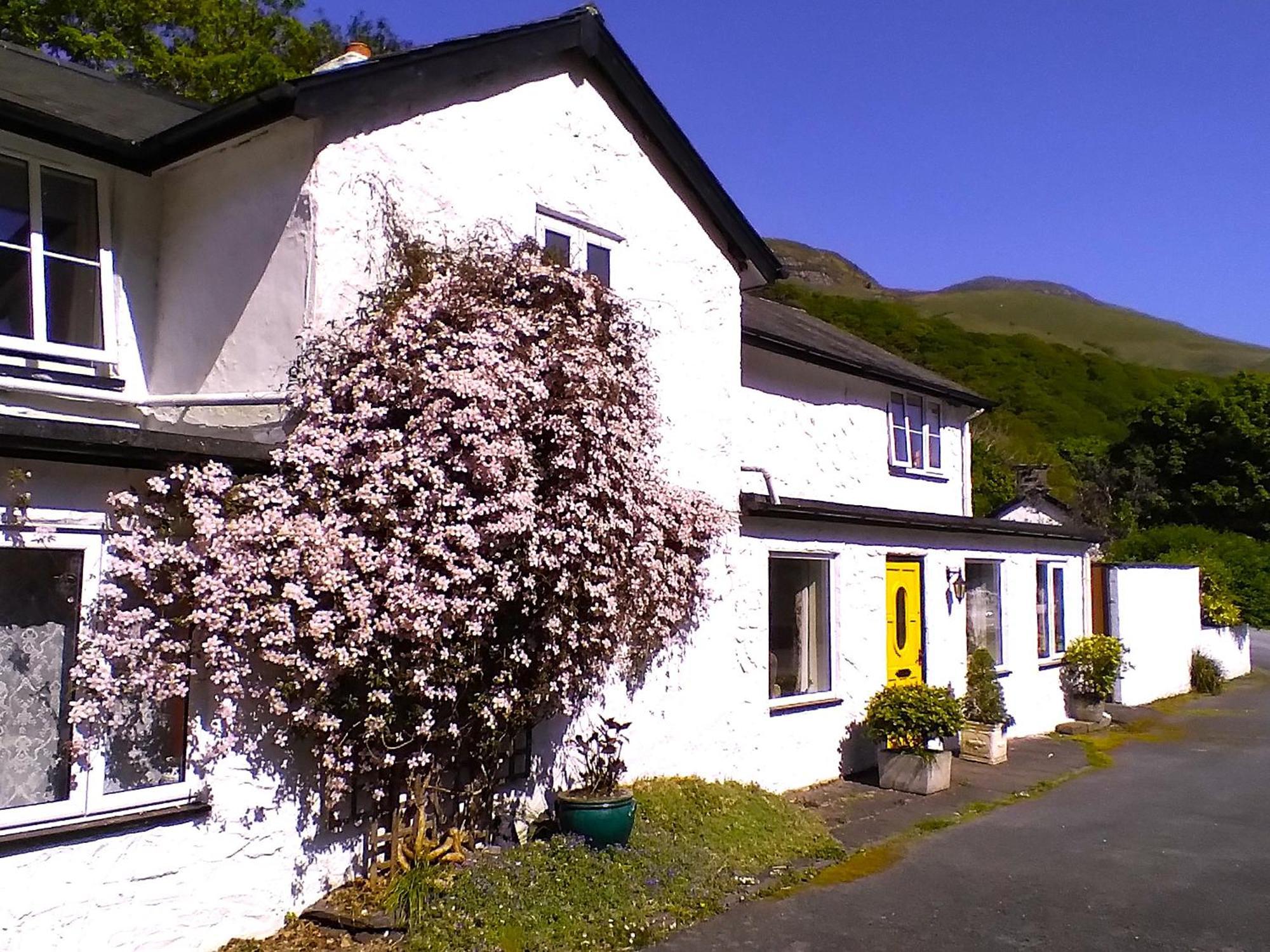 Pen-Y-Bont Hotel Tal-y-llyn Exterior foto